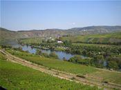 die Mosel 